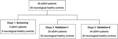 Altered Expression of Specific MicroRNAs in Plasma of Aneurysmal Subarachnoid Hemorrhage Patients